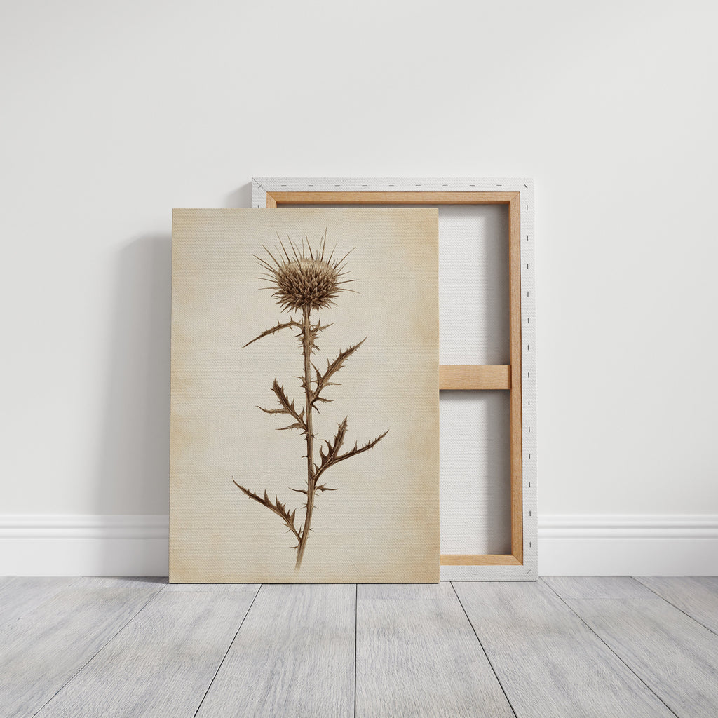 Vintage Thistle Botanical Print – Rustic Western Floral Wall Art