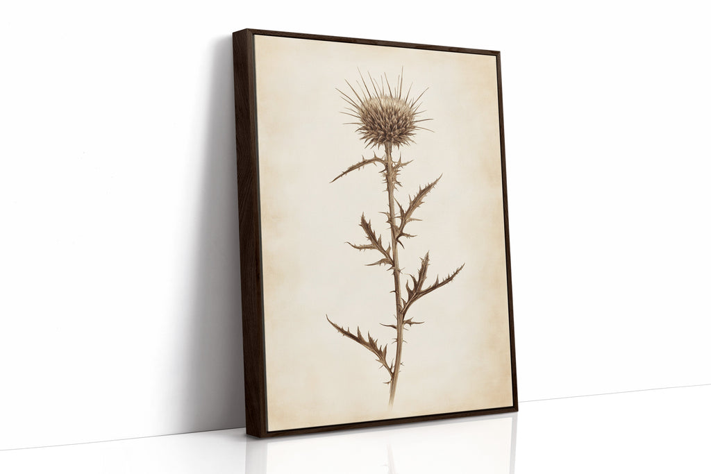 Vintage Thistle Botanical Print – Rustic Western Floral Wall Art