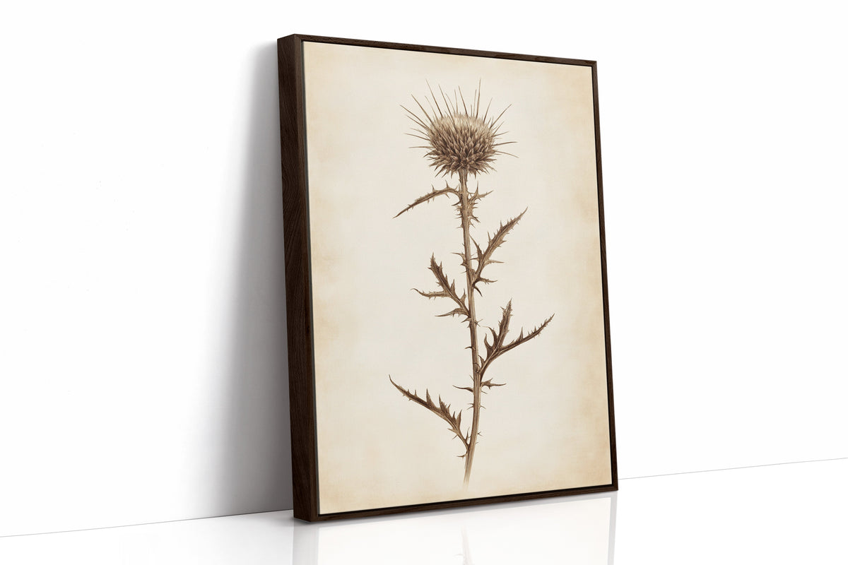 Vintage Thistle Botanical Print – Rustic Western Floral Wall Art