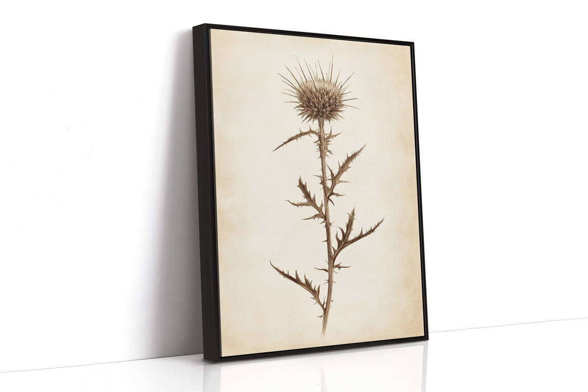 Vintage Thistle Botanical Print – Rustic Western Floral Wall Art