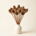 Mini Pinecone Reed Diffuser Sticks, 9" — 16 Pack